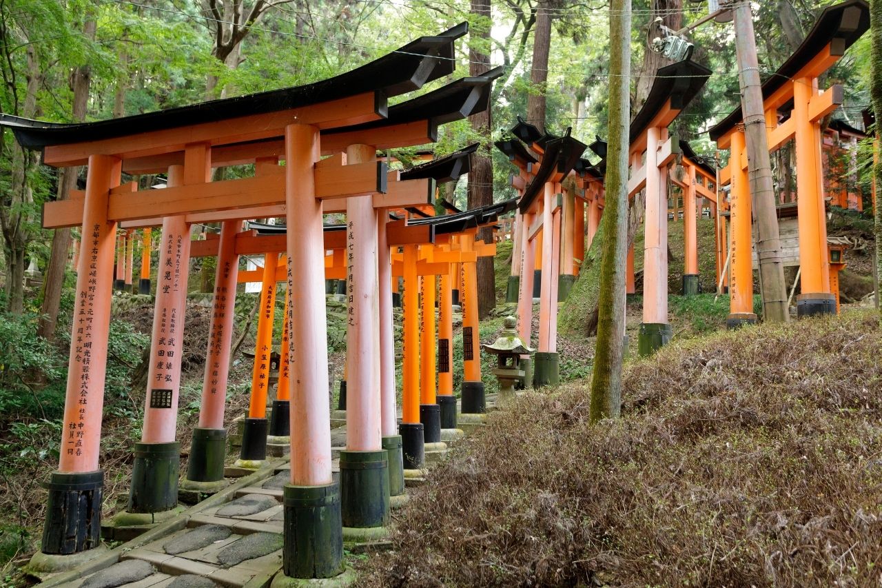 Il sentiero verso il tempio di Inari