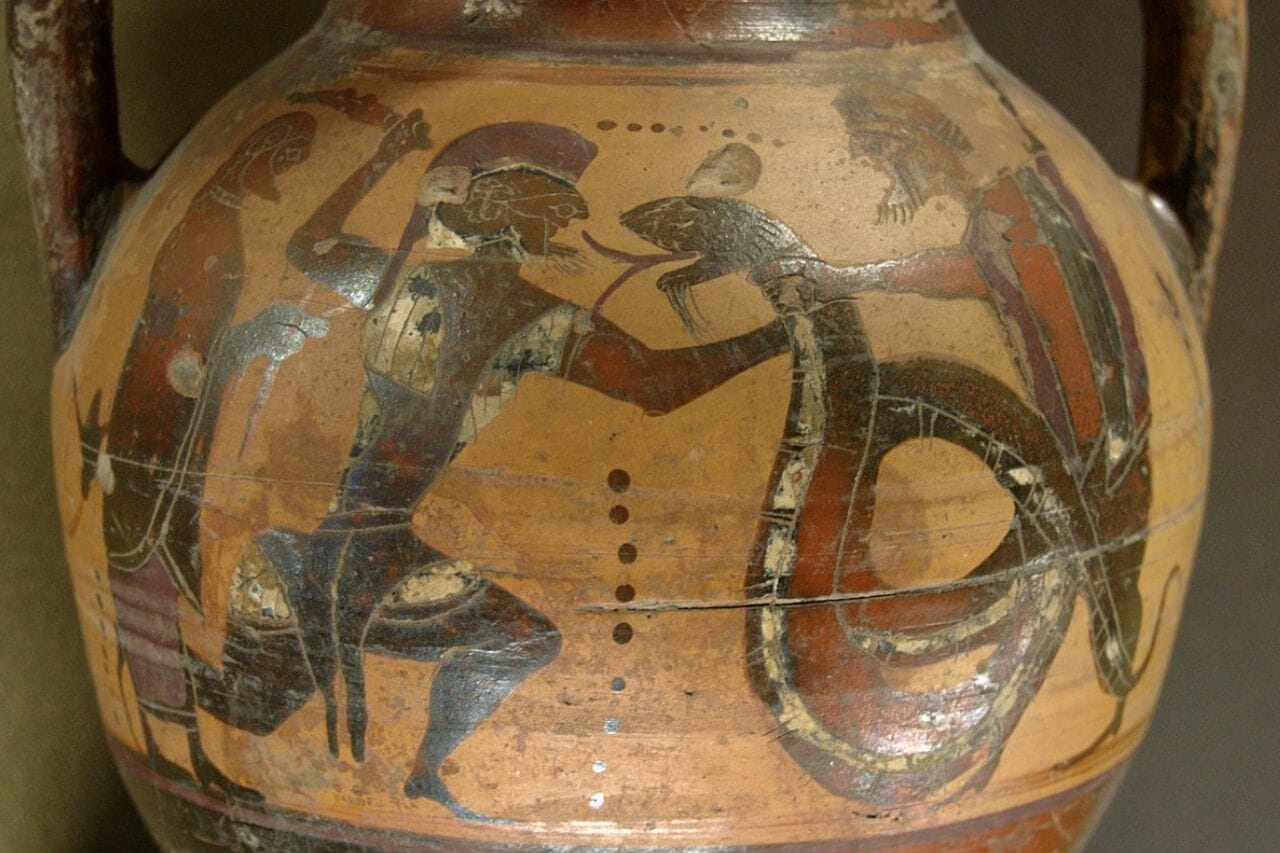 Campe il drago feroce