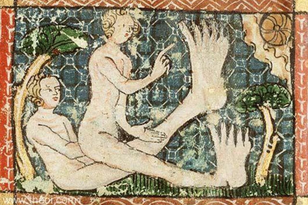 Sciapodi tutto ciò che serve sapere
