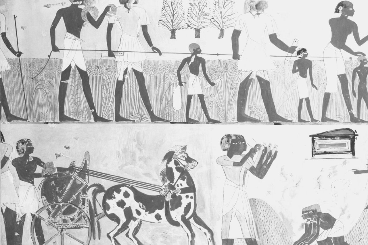 I cavalli nell’antico Egitto: come divennero importanti