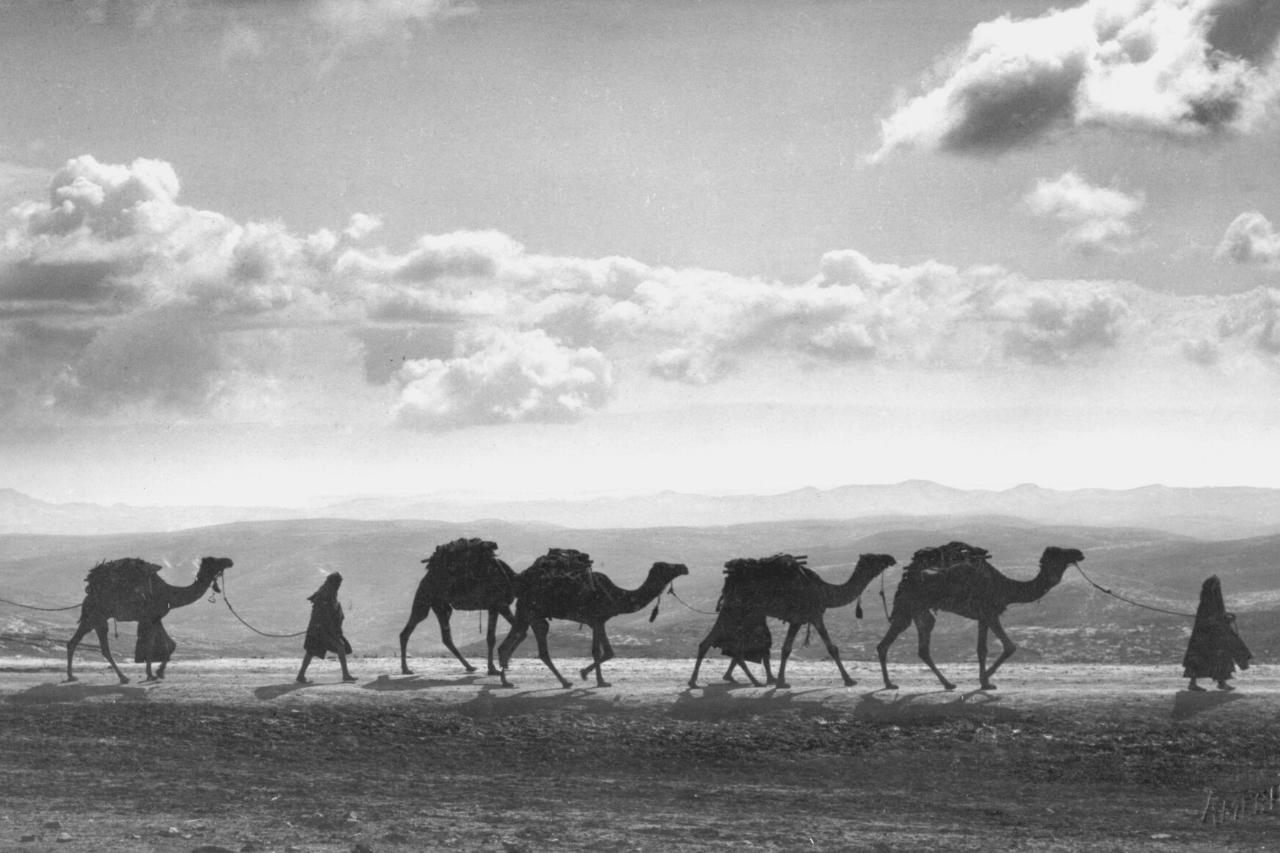 La storia della Palestina: un paese al crocevia della fede