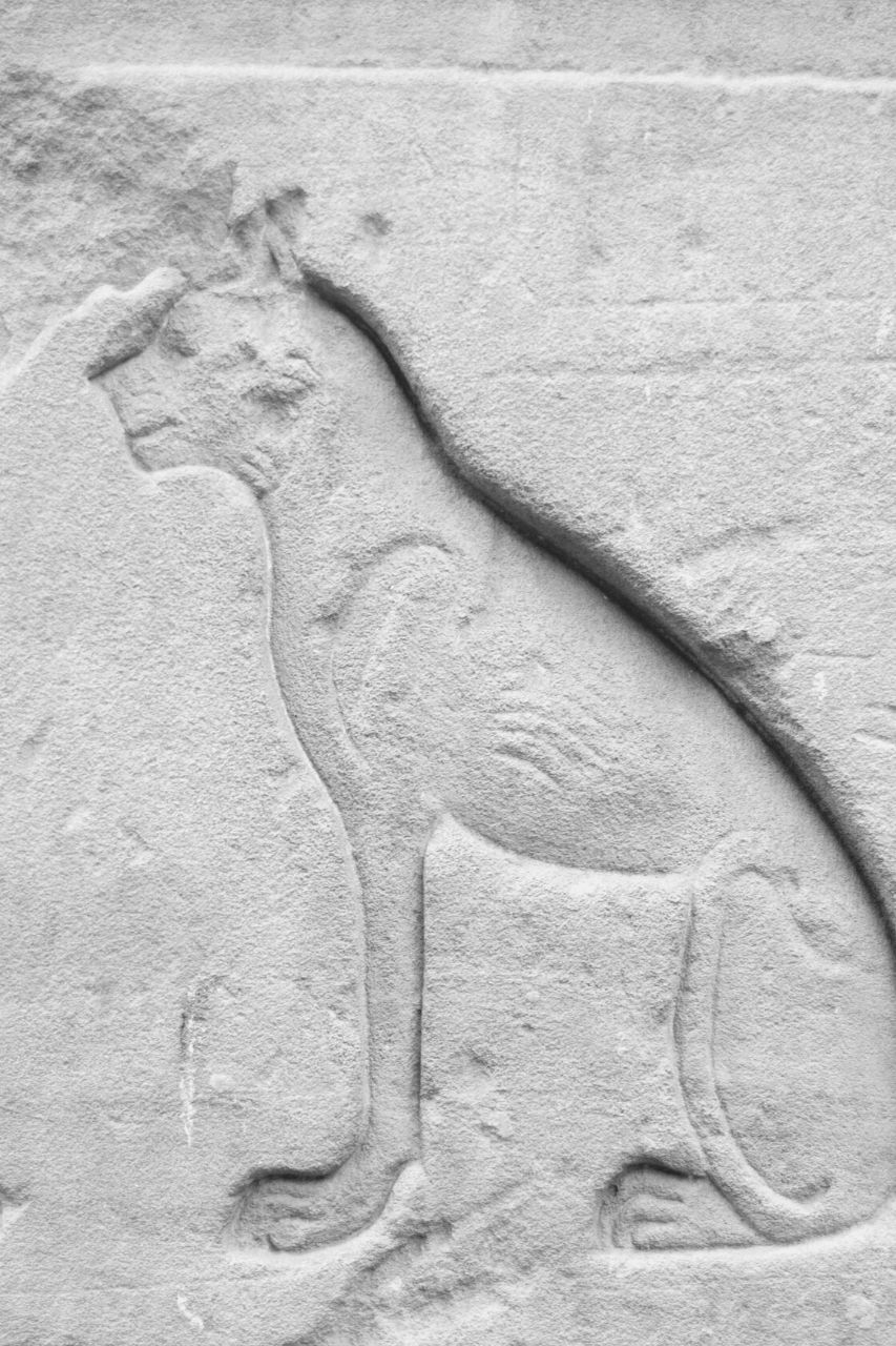 Gatto nell'antico Egitto