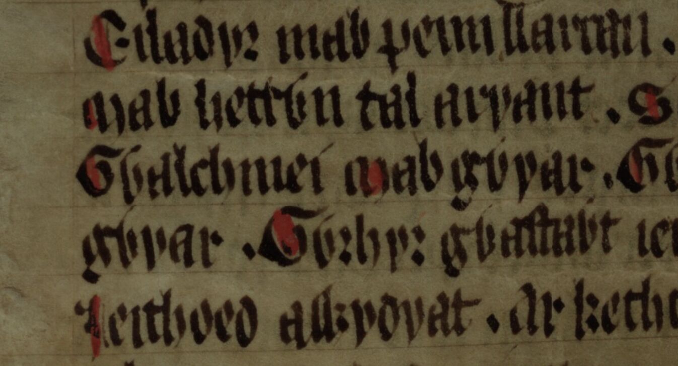 <i>Culhwch e Olwen</i>, foglio 203r, che mostra «Gwalchmei mab Gwyar» al centro