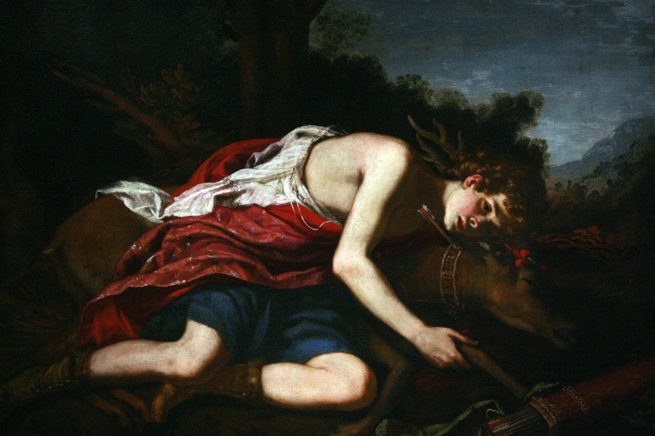 Ciparisso: il mito dietro il nome del cipresso