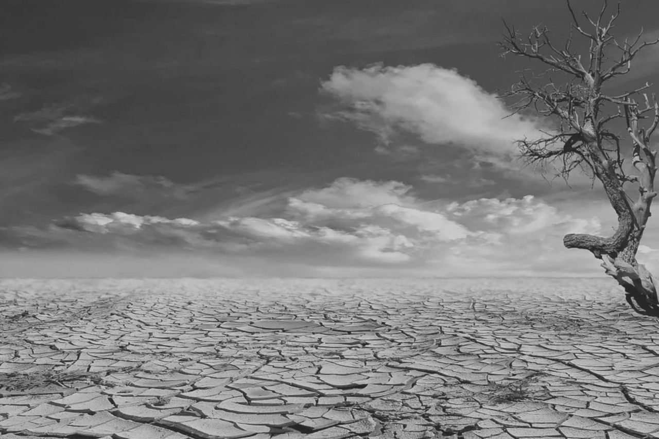 Siccità del deserto