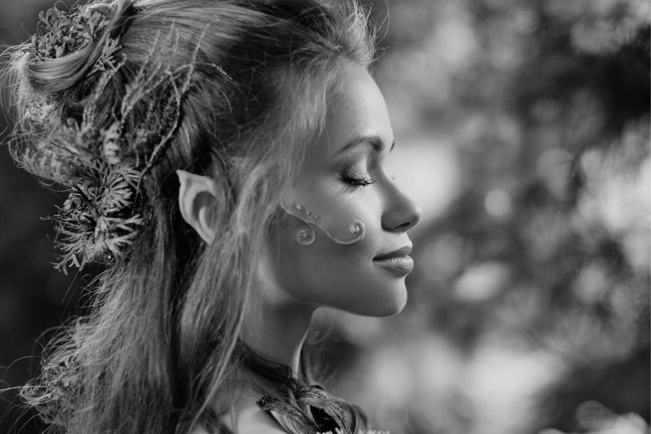 Gli elfi sono tipi di fate