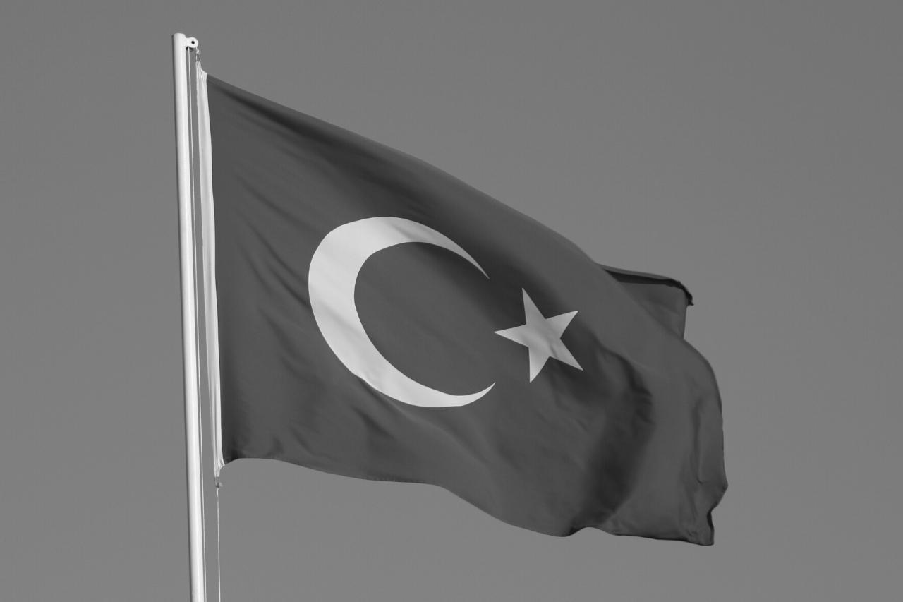 Nemici di Israele Turchia