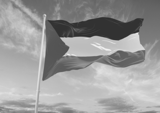 Bandiera della Palestina