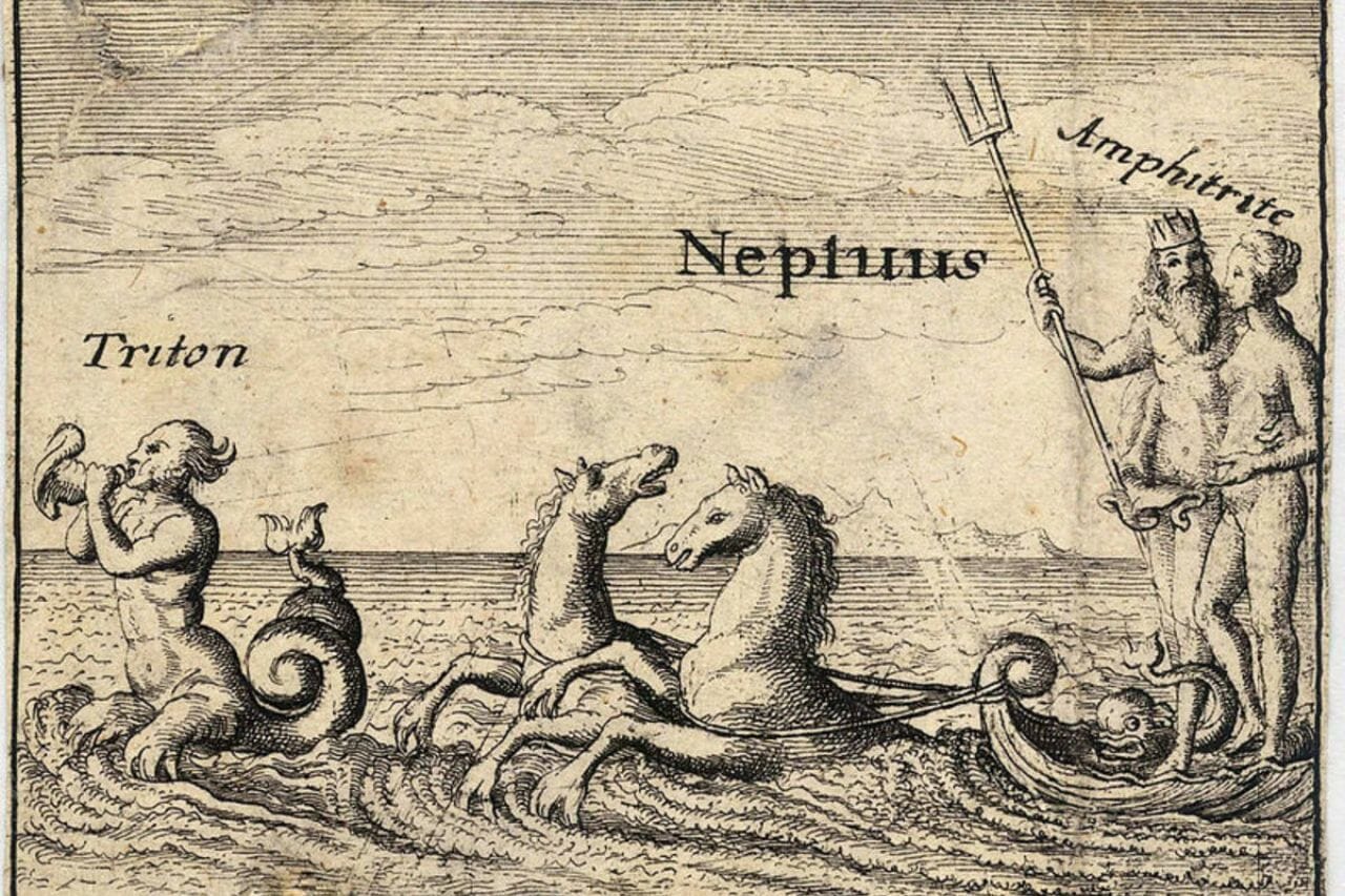 Mitologia dell’ippocampo tutto ciò che c’è da sapere