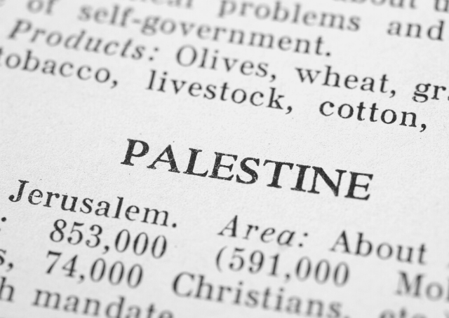 Storia della Palestina in un libro