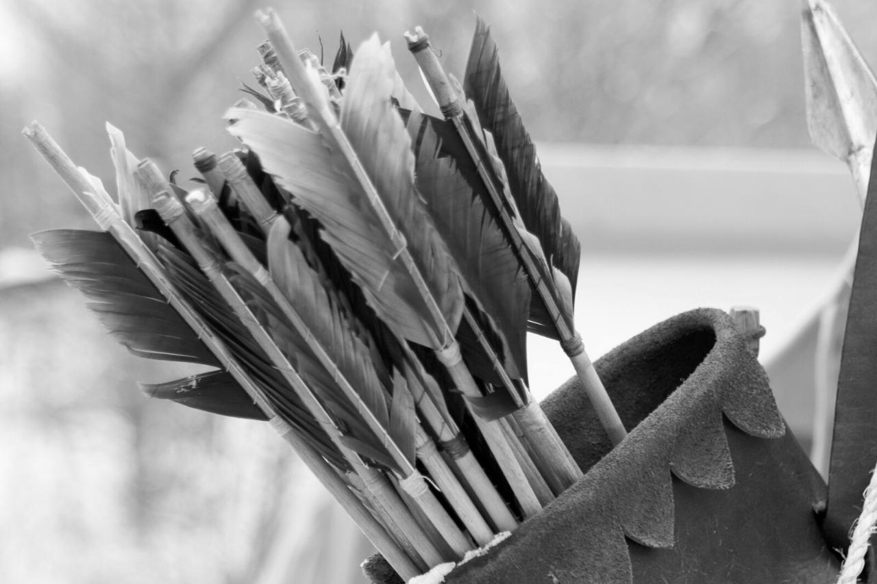 Quante frecce in un faretra? Basi di archi e frecce