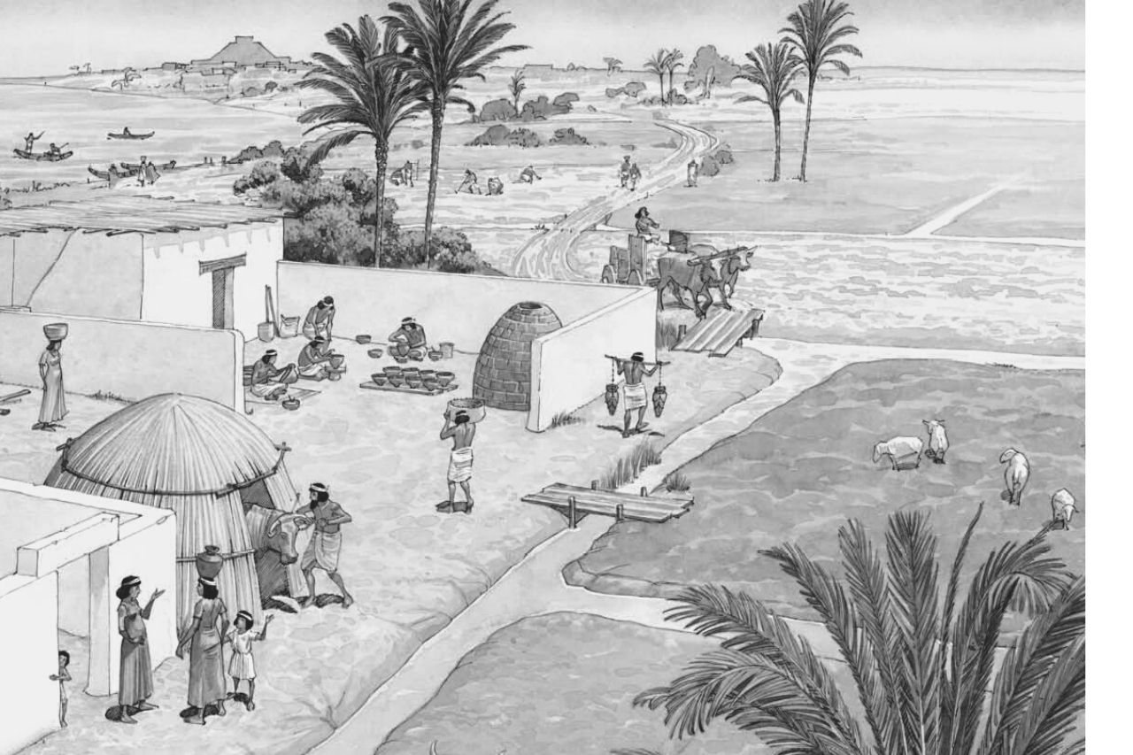 Agricoltura mesopotamica