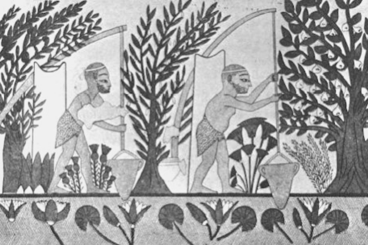 Uomo mesopotamico che raccoglie