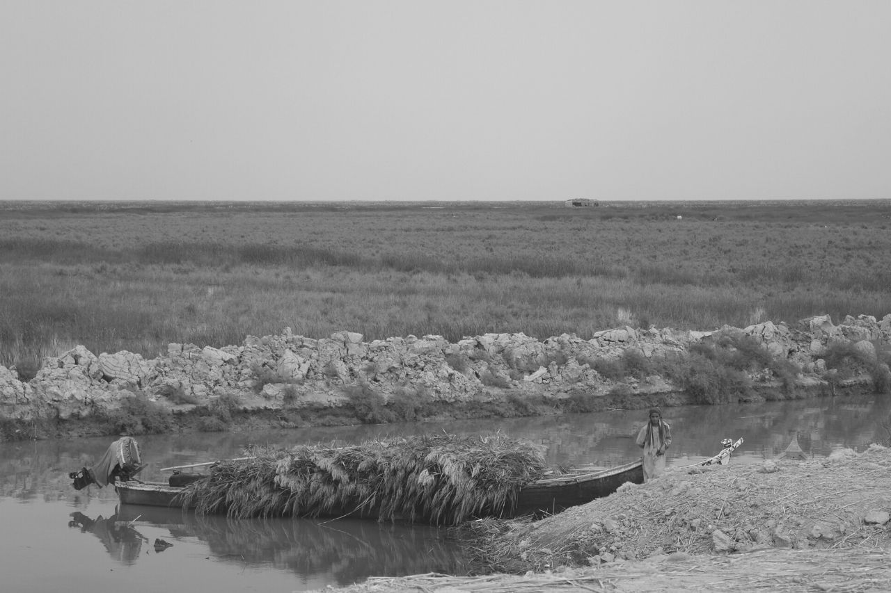 Clima mesopotamico, agricoltura e la Mezzaluna Fertile