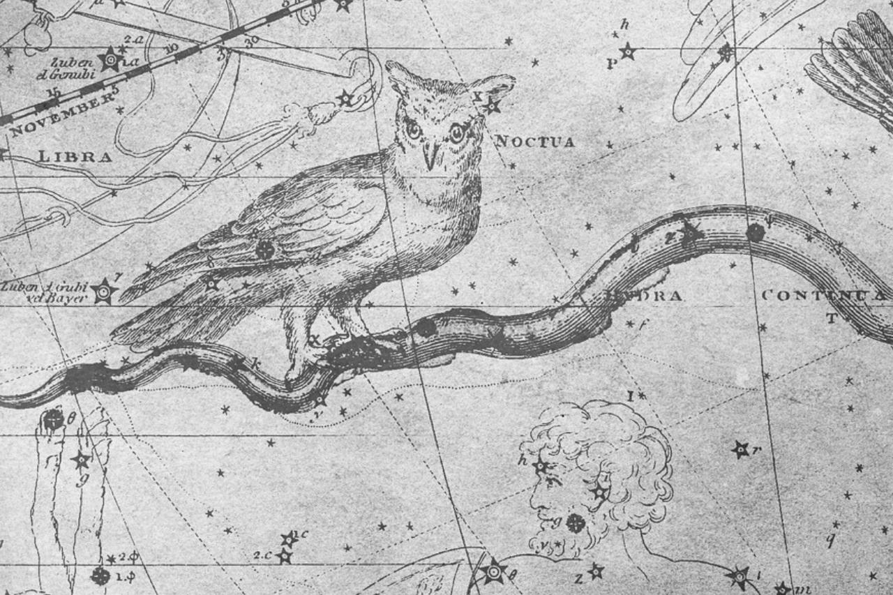 I gufi nella mitologia norrena: il dio della saggezza