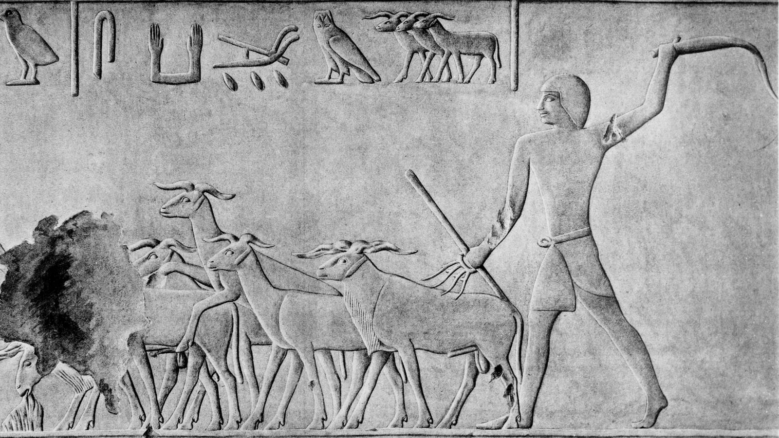 Perché i pastori erano un’abominio per l’Egitto? Quattro teorie convincenti
