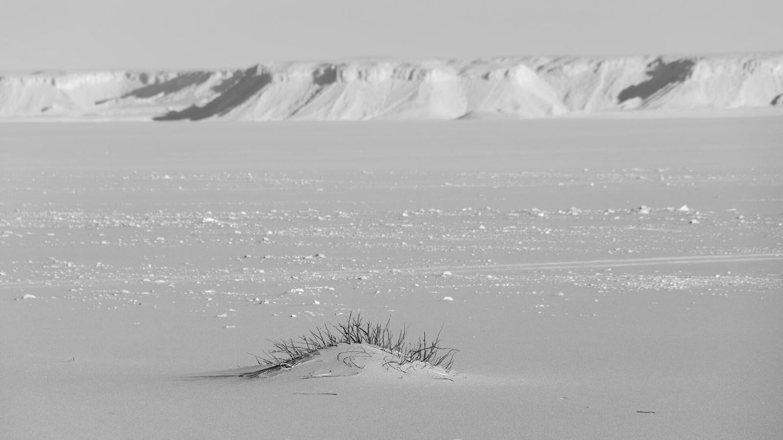 Deserto occidentale dell’Egitto