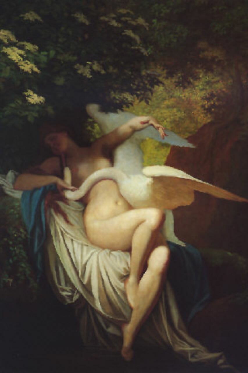 Zeus apparve a Leda come un cigno: un racconto di lussuria